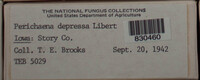 Image Associated With the Occurence